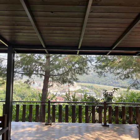 Forest House Berat