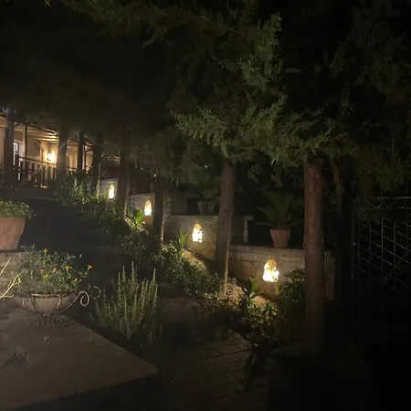 Forest House 3* Berat