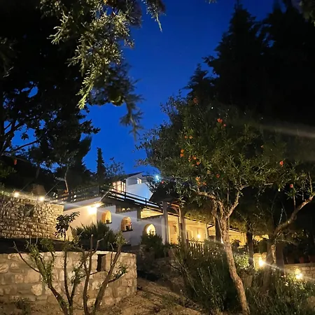 Affittacamere Forest House 3*