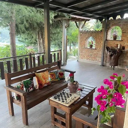 Forest House 3* Berat