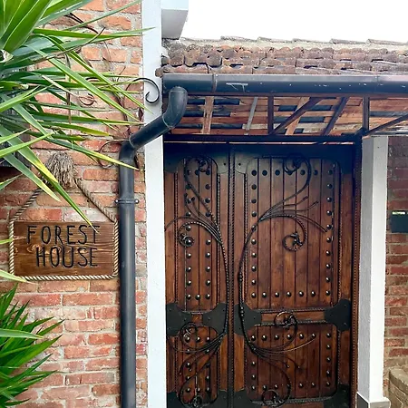 Forest House Affittacamere