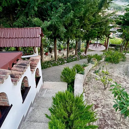 Affittacamere Forest House
