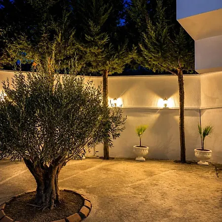 Forest House Pensjonat 3*