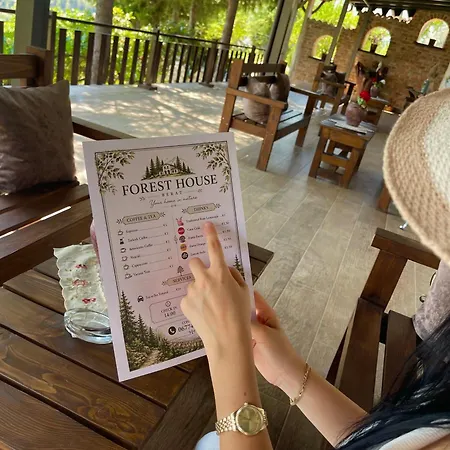 Guest house Forest House Berat