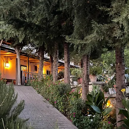 Forest House Guest house 3*